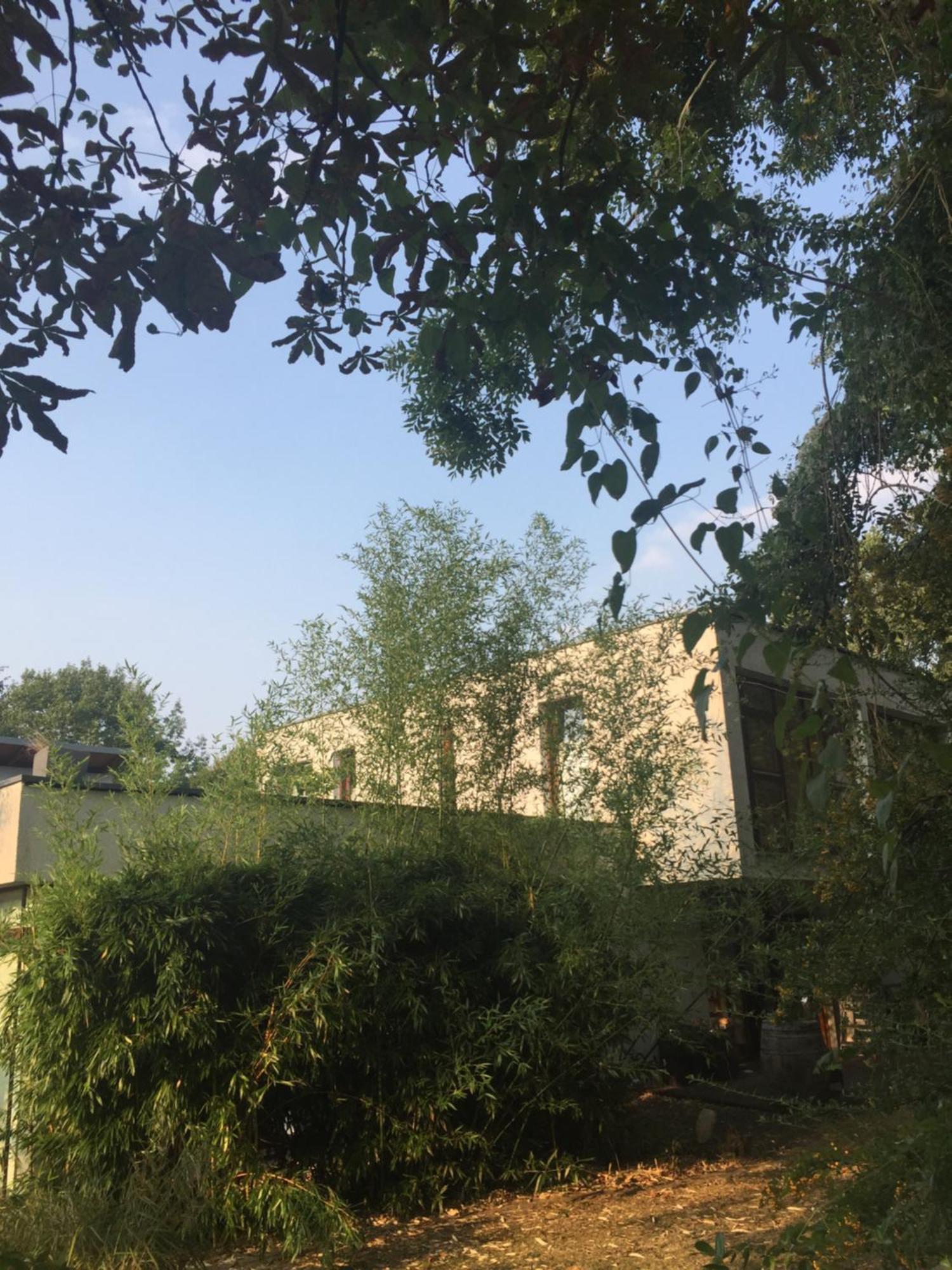 Suite ! Moin Die Rattanbude Wunstorf Exterior foto