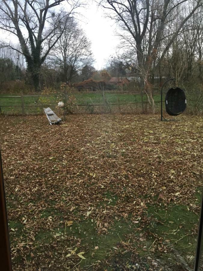 Suite ! Moin Die Rattanbude Wunstorf Exterior foto